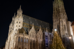 Adventabend in der Wiener Innenstadt, coronavirusbeding sind wenig Menschen unterwegs