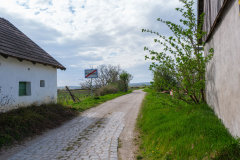Das Ende der westlichen Kellergasse und des Ortes Pillichsdorf, NÖ
