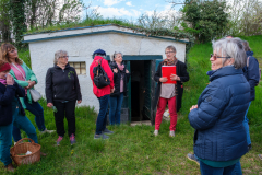 Eveline Gössinger erklärt die unterschiedlichen Typen von Kellern in den Kellergassen in Pillichsdorf, NÖ