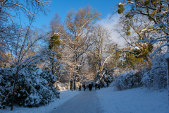 Gestern Schneefall, heute Somme in Türkenschanzpark (Wien 18.,)