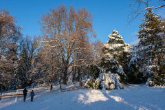 Gestern Schneefall, heute Somme in Türkenschanzpark (Wien 18.,)