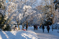 Gestern Schneefall, heute Somme in Türkenschanzpark (Wien 18.,)