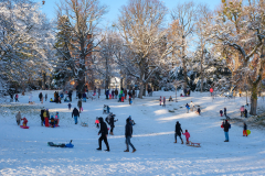 Gestern Schneefall, heute Somme in Türkenschanzpark (Wien 18.,)