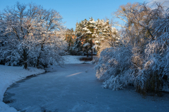 Gestern Schneefall, heute Somme in Türkenschanzpark (Wien 18.,)