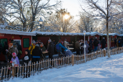 Gestern Schneefall, heute Somme in Türkenschanzpark (Wien 18.,)