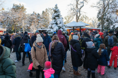 Gestern Schneefall, heute Somme in Türkenschanzpark (Wien 18.,)