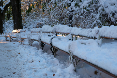Gestern Schneefall, heute Somme in Türkenschanzpark (Wien 18.,)