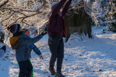 Gestern Schneefall, heute Somme in Türkenschanzpark (Wien 18.,)