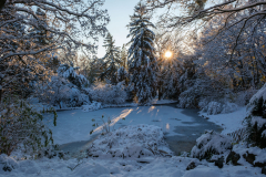 Gestern Schneefall, heute Somme in Türkenschanzpark (Wien 18.,)