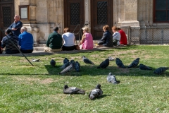 In Wien - Rast 3